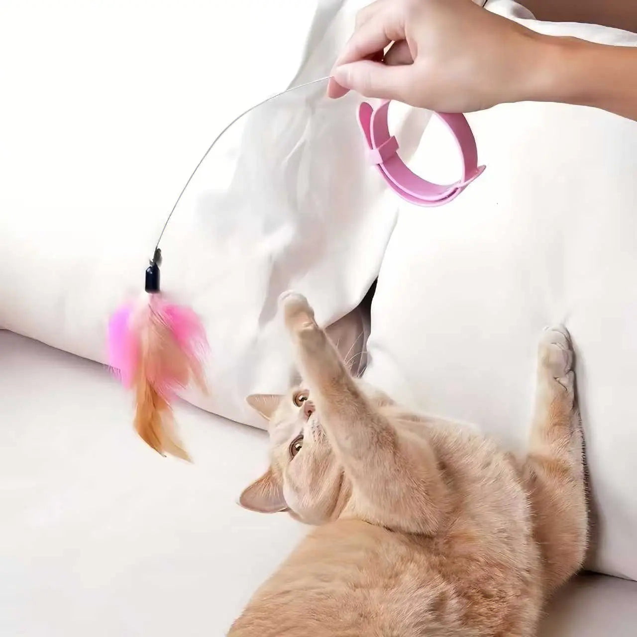 Feather Fun Indoor Cat Toy Set - Adjustable Collar, Teaser Wand & Kicker for Active Play and Training