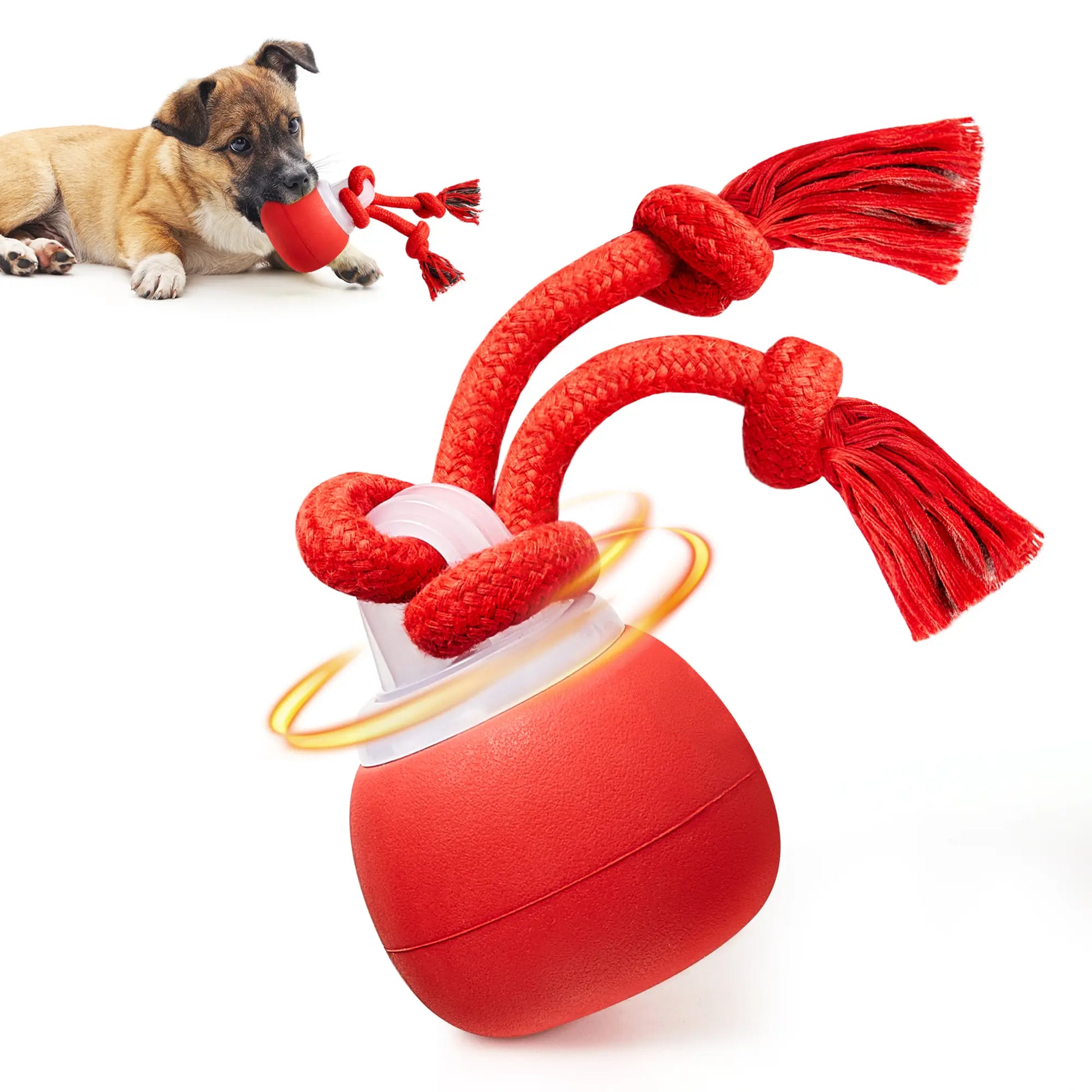 Crazy Ball - Rechargeable Squeaky Toy with Rope for Small & Medium Dogs - Perfect for Playtime & Training - Dark Red