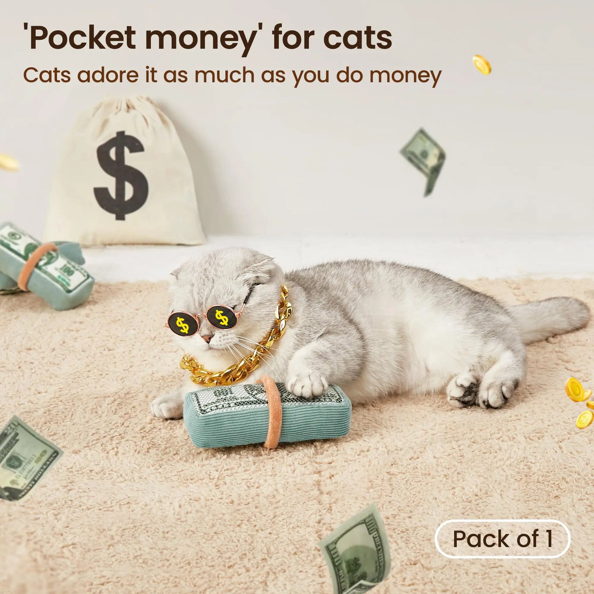  Catnip Dollar Toy - Interactive Kicker for Indoor Kittens, Teeth Cleaning Fun, 6 Inches of Playtime Bliss!