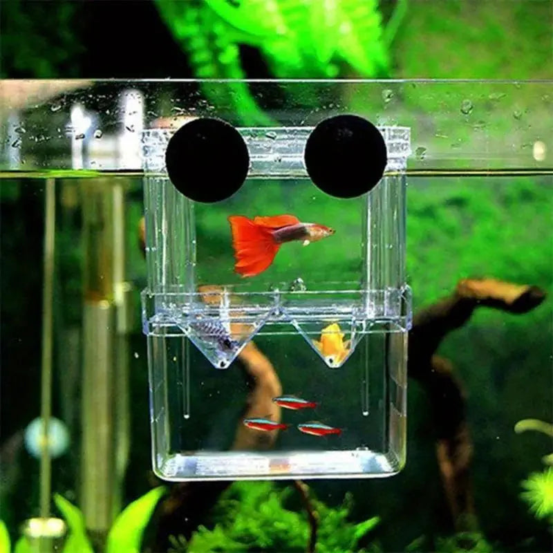 Double Layer Fish Hatching Incubator Box - Clear Plastic Isolation Breeding Box for Aquariums - Ideal for Home & Pet Shops - Essential Fish Tank Accessory