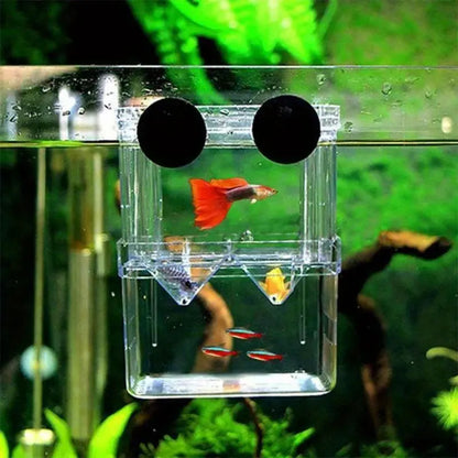 Double Layer Fish Hatching Incubator Box - Clear Plastic Isolation Breeding Box for Aquariums - Ideal for Home & Pet Shops - Essential Fish Tank Accessory