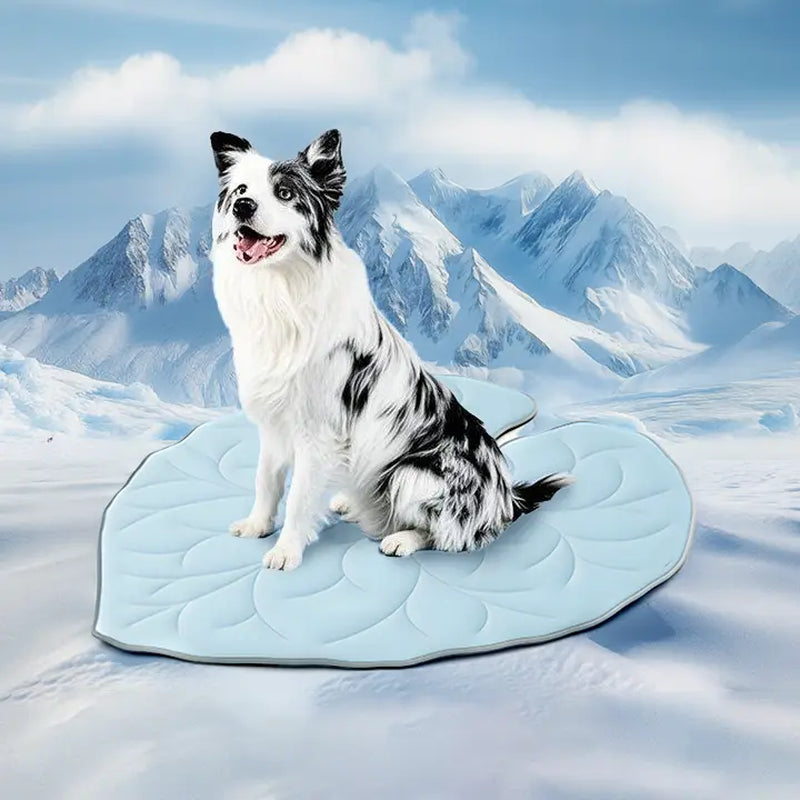 Vagascape Eco-Friendly Cooling Pet Mat - Portable & Durable Cooling Pad for Large Dogs and Cats, Perfect for Outdoor Adventures, Camping, and Crate Use, Machine Washable, No Gel Needed