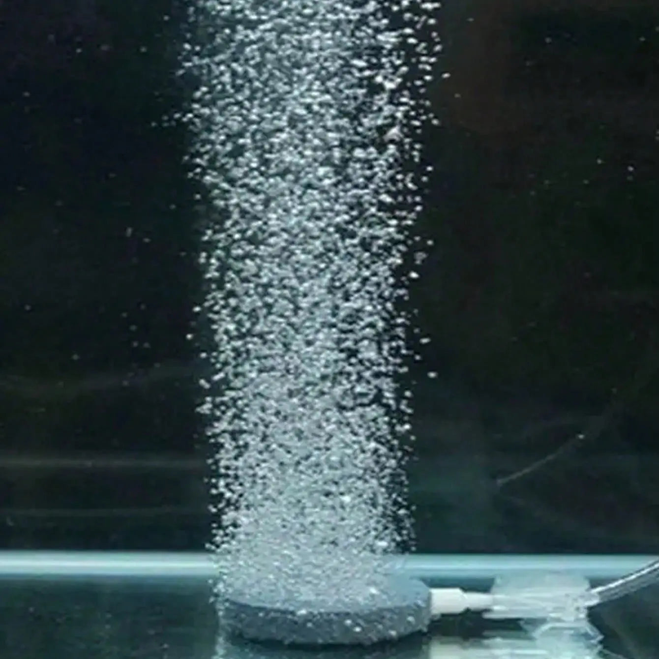 Versatile Aquarium Bubble Stones - Oxygen Pump Disks in Various Sizes for Enhanced Fish Tank Aeration