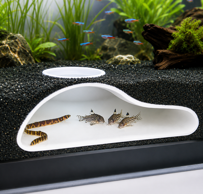 Create a Natural Hideaway Fish and Shrimp Love