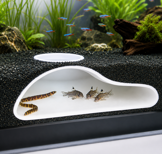 Create a Natural Hideaway Fish and Shrimp Love