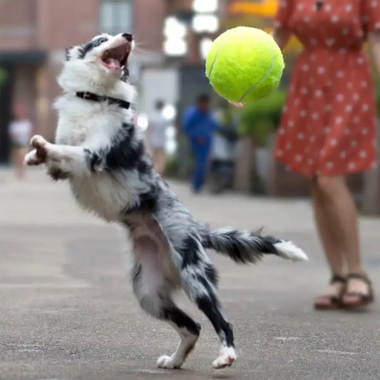 Ultimate Giant Dog Tennis Ball - Durable, Bouncy Training Toy for Active Pets