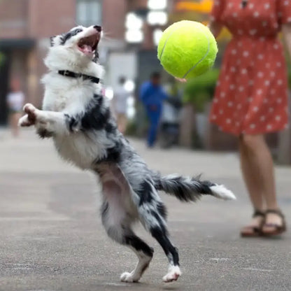Ultimate Giant Dog Tennis Ball - Durable, Bouncy Training Toy for Active Pets