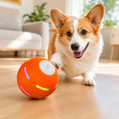 Get Your Dog Moving With Motion-Activated Ball Fun