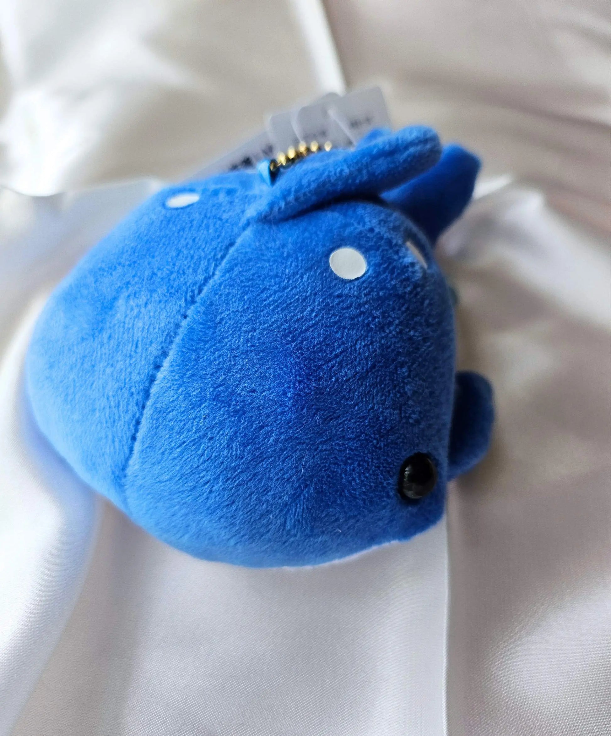 Adorable Whale Shark Pocket Aquarium Plush Keychain - Large Puchimaru Bean-Filled Companion