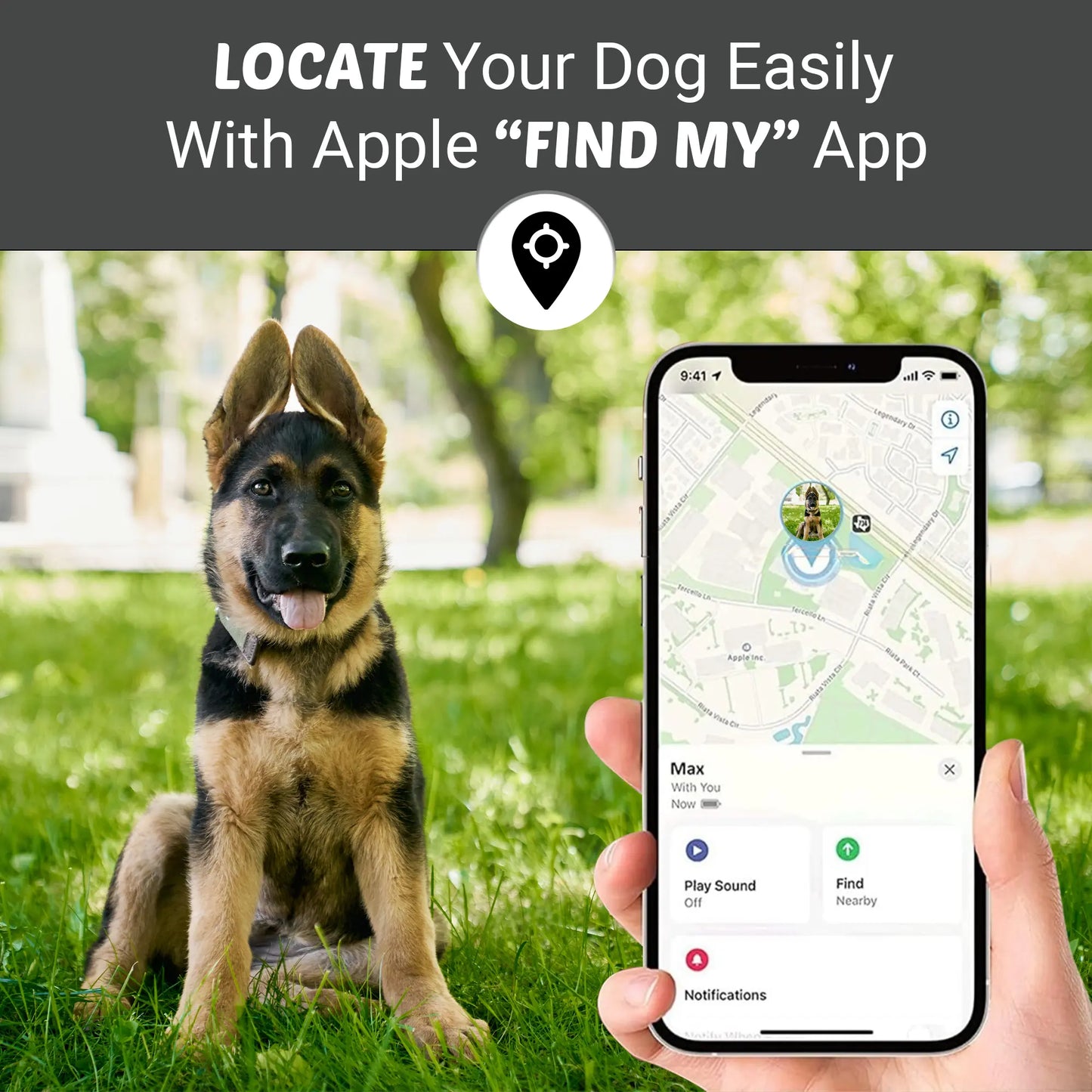 Bon Chien Premium Leather Dog Collar with Built-In Apple AirTag Holder - Waterproof, Adjustable, and Stylish Pet Accessory for Small Dogs