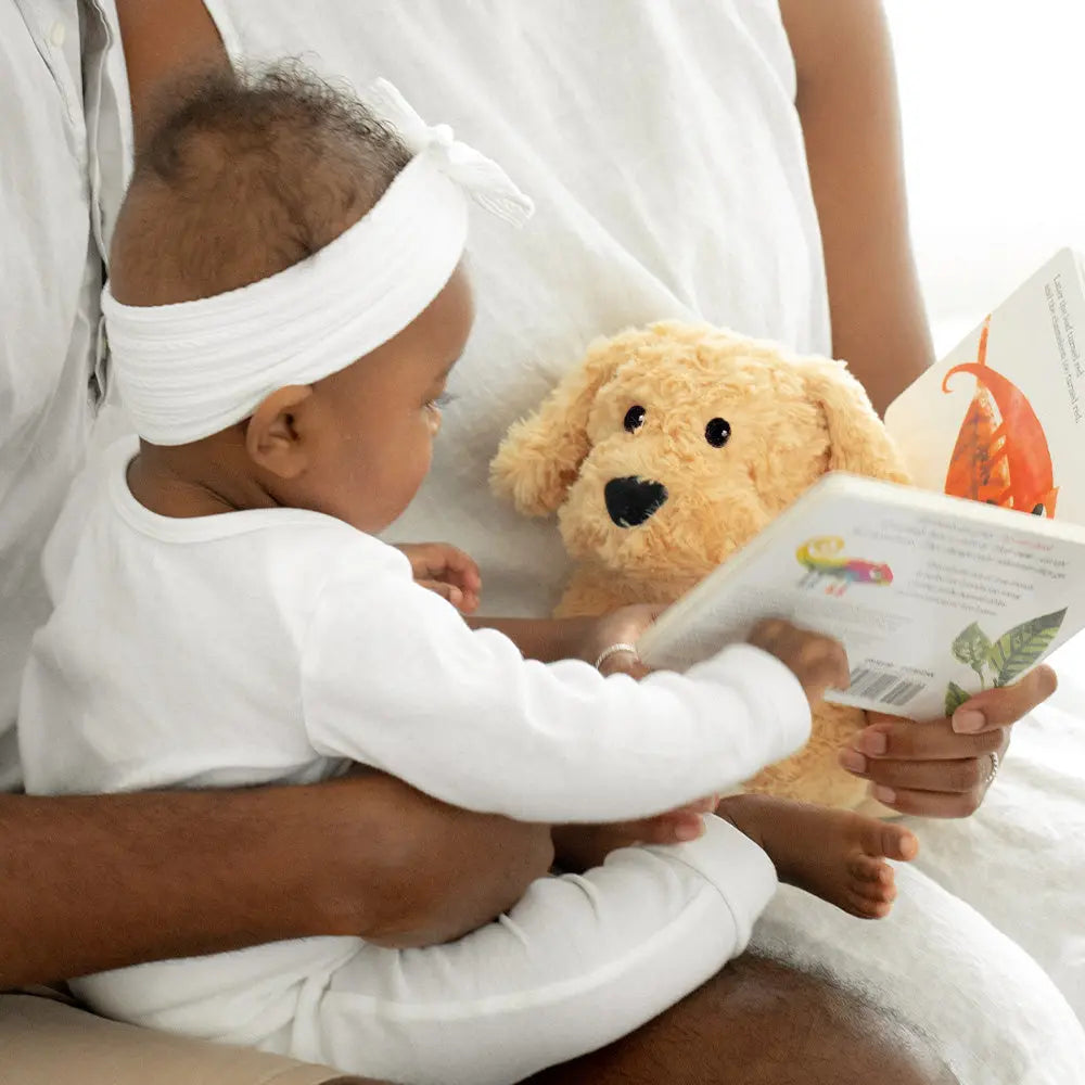 Cozy Up with Golden Dog Warmies - Your Furry Friend's Ultimate Comfort Companion!