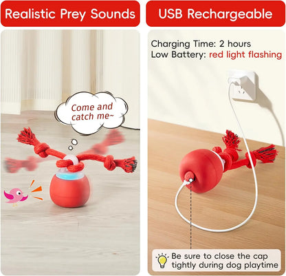 Crazy Ball - Rechargeable Squeaky Toy with Rope for Small & Medium Dogs - Perfect for Playtime & Training - Dark Red