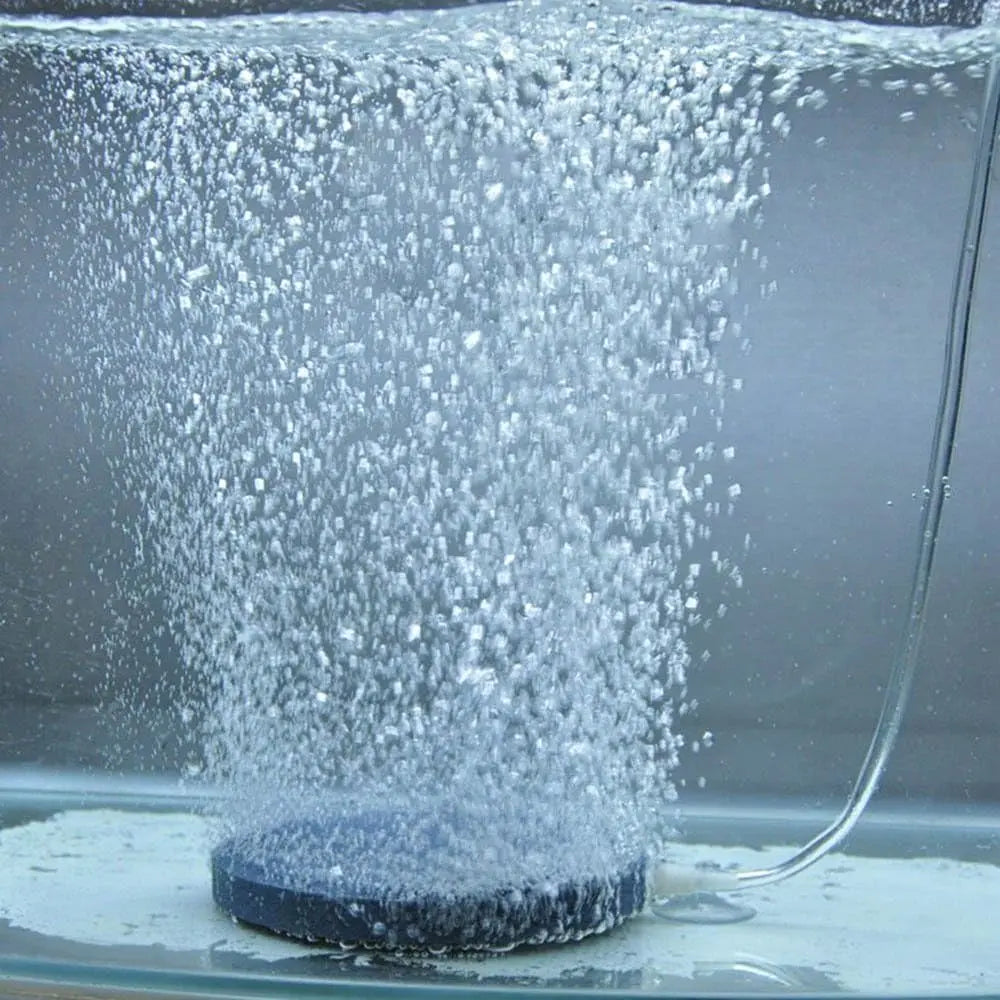 Versatile Aquarium Bubble Stones - Oxygen Pump Disks in Various Sizes for Enhanced Fish Tank Aeration