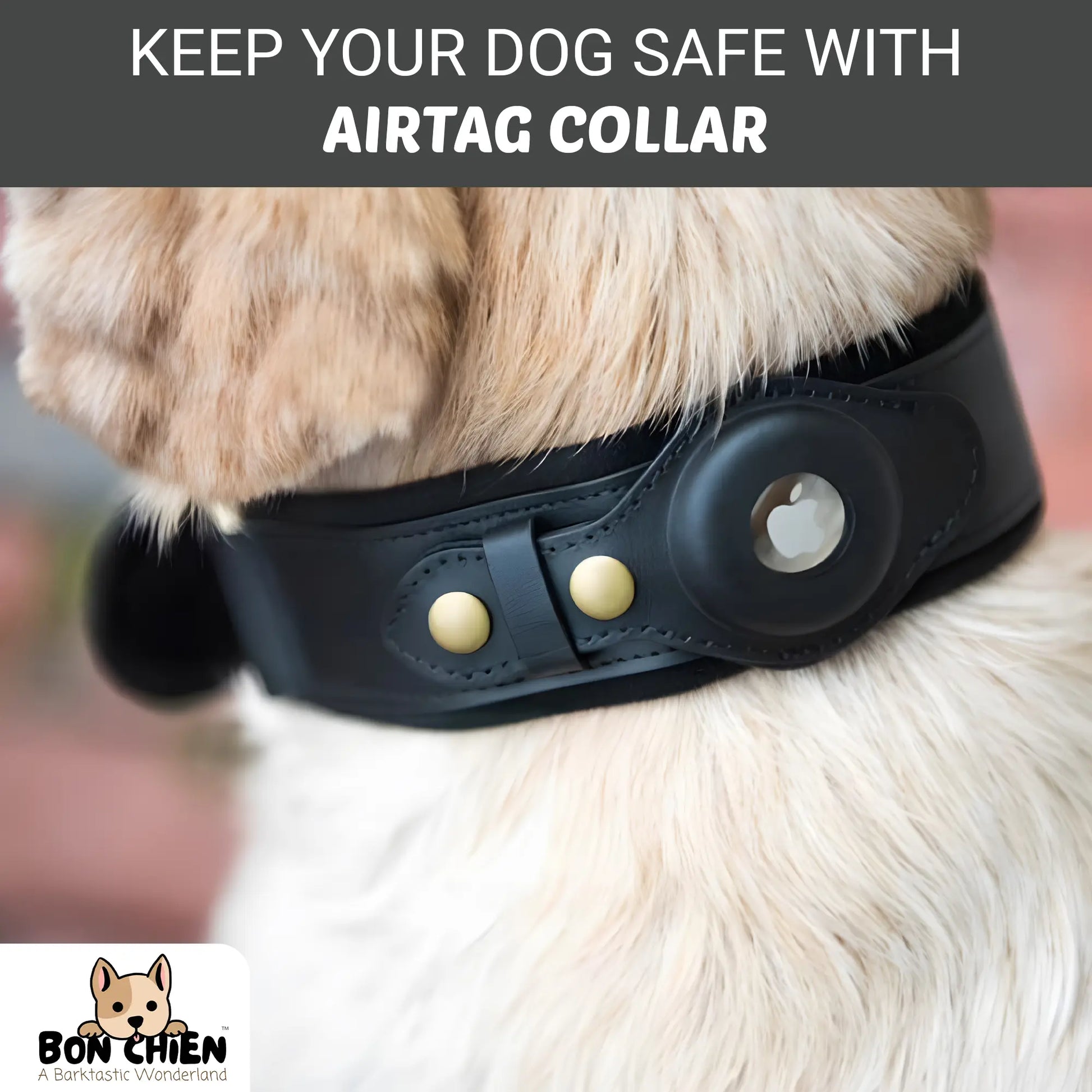 Bon Chien Premium Leather Dog Collar with Built-In Apple AirTag Holder - Waterproof, Adjustable, and Stylish Pet Accessory for Small Dogs