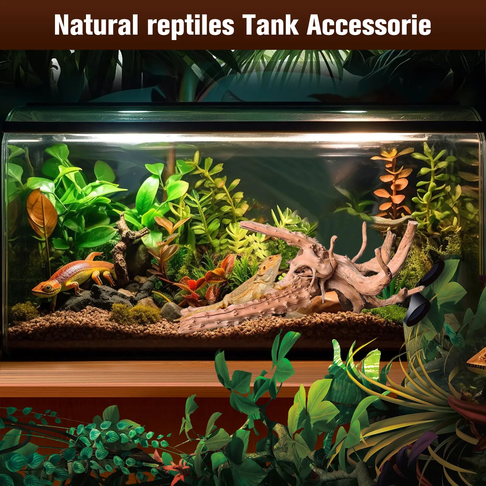 Premium Natural Driftwood Set for Aquariums - 5 Large Pieces (6''-10'') Perfect for Fish Tanks, Reptile Habitats & Air Plant Displays