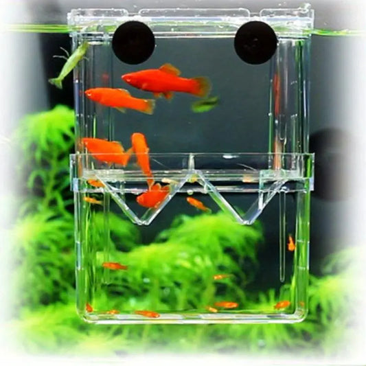 Double Layer Fish Hatching Incubator Box - Clear Plastic Isolation Breeding Box for Aquariums - Ideal for Home & Pet Shops - Essential Fish Tank Accessory