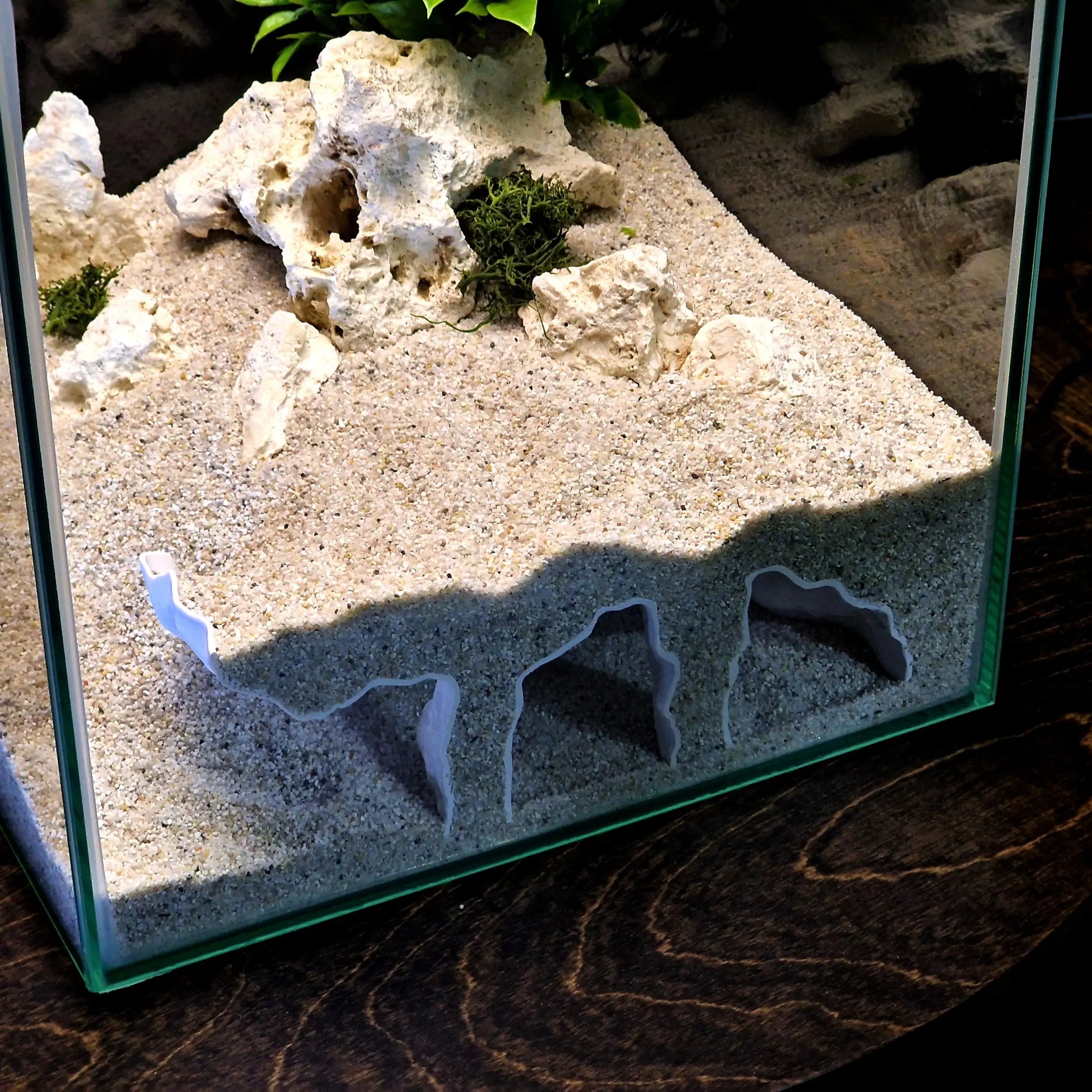 Realistic 3D Orbital Cave Aquarium & Reptile Shelter - Perfect Hiding Spot for Fish, Shrimp, Lizards, and Snakes - Ideal for Aquatic Landscaping and Office Decor