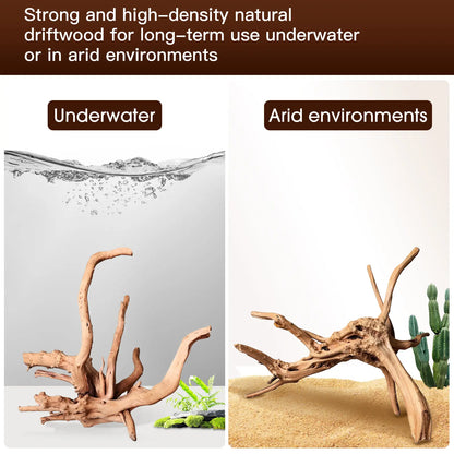 Premium Natural Driftwood Set for Aquariums - 5 Large Pieces (6''-10'') Perfect for Fish Tanks, Reptile Habitats & Air Plant Displays