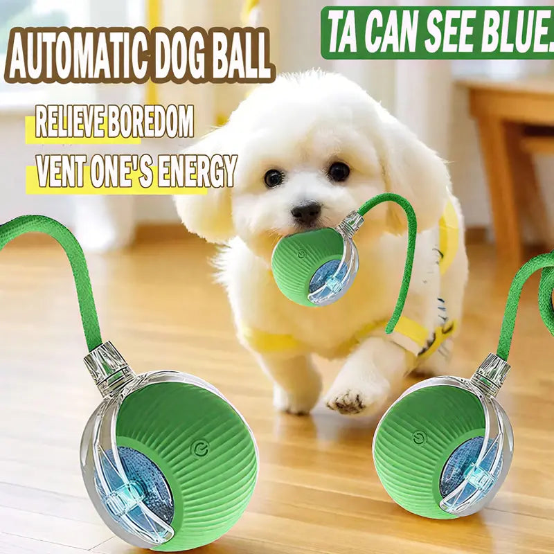 Rechargeable Rolling Ball for Dogs and Cats - Durable, Automatic, with Obstacle Avoidance for All Pet Sizes