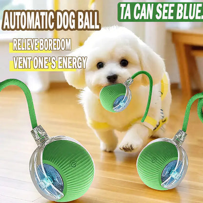 Rechargeable Rolling Ball for Dogs and Cats - Durable, Automatic, with Obstacle Avoidance for All Pet Sizes