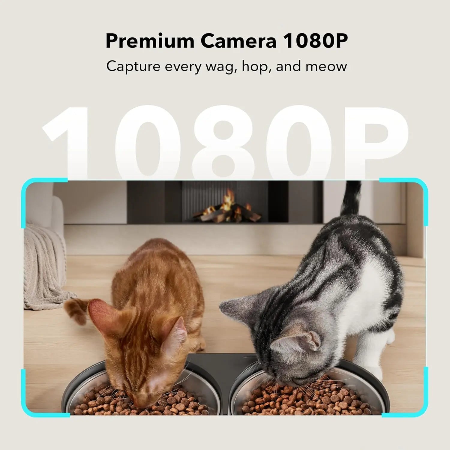PETLIBRO 5L Automatic Cat Feeder with HD Camera & Night Vision - 2-Way Audio, 5G Wifi, Dual Tray, Alerts for Cats & Dogs - Perfect for Multi-Pet Households