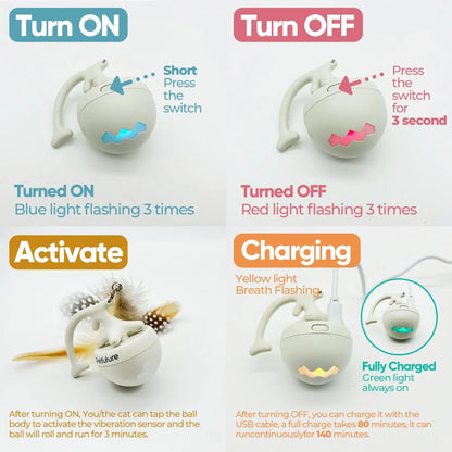 Interactive Fishbone Rolling Ball Cat Toy with Catnip - USB Rechargeable Kicker for Indoor Fun!