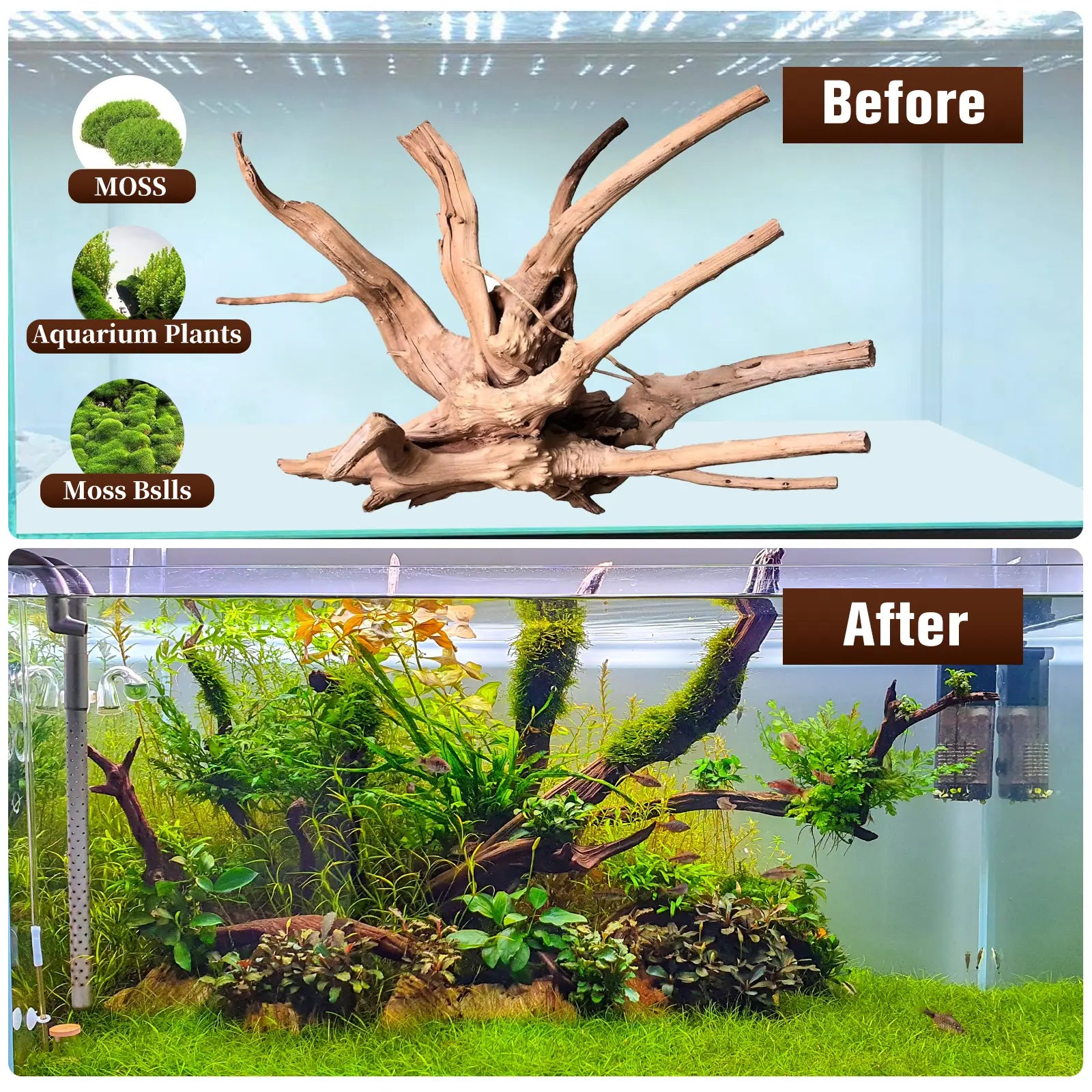 Premium Natural Driftwood Set for Aquariums - 5 Large Pieces (6''-10'') Perfect for Fish Tanks, Reptile Habitats & Air Plant Displays