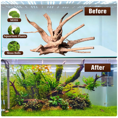 Premium Natural Driftwood Set for Aquariums - 5 Large Pieces (6''-10'') Perfect for Fish Tanks, Reptile Habitats & Air Plant Displays