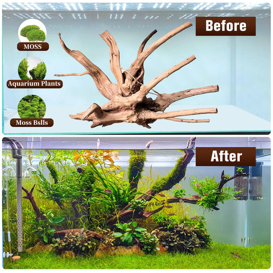 Premium Natural Driftwood Set for Aquariums - 5 Large Pieces (6''-10'') Perfect for Fish Tanks, Reptile Habitats & Air Plant Displays