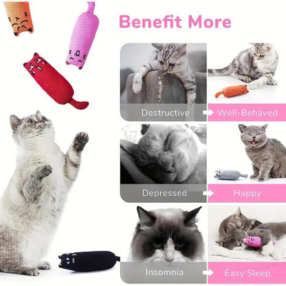 Vibrant Catnip Chew & Teaser Toy - Durable Interactive Fun for Indoor Cats!