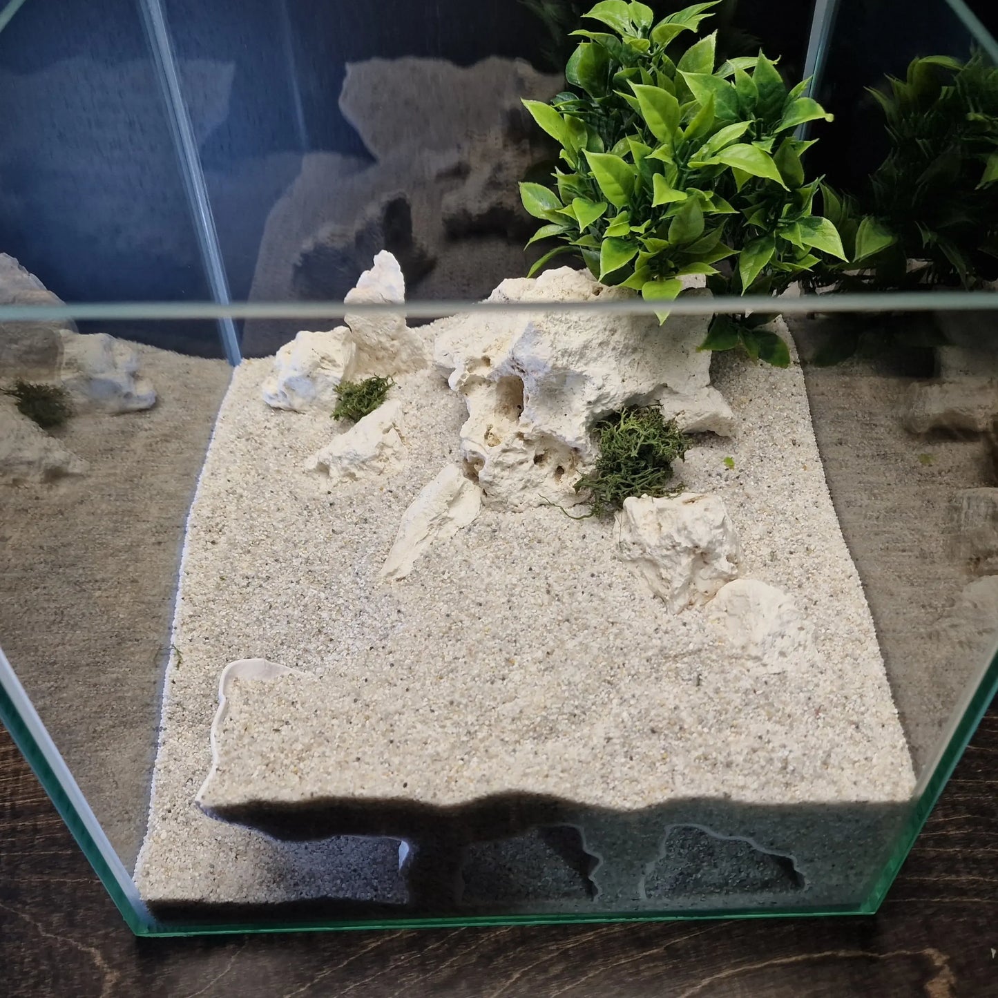 Realistic 3D Orbital Cave Aquarium & Reptile Shelter - Perfect Hiding Spot for Fish, Shrimp, Lizards, and Snakes - Ideal for Aquatic Landscaping and Office Decor