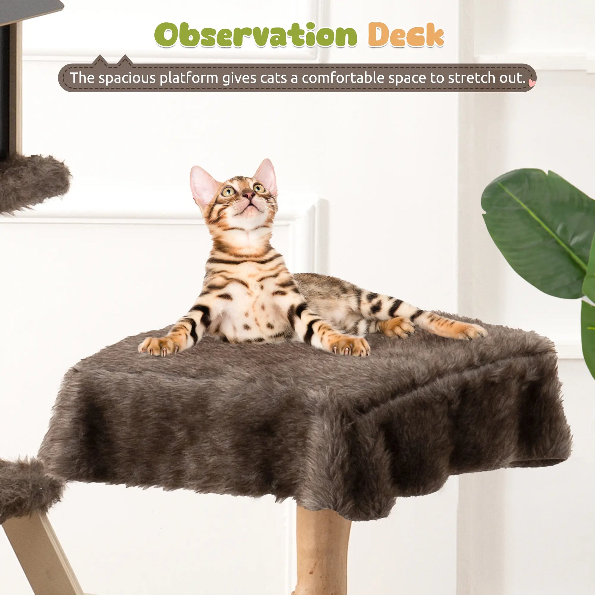 Luxury Multi-Level Cat Tree - Durable Natural Wood with Plush Coverings, Perfect Cat Condo Gift - 64.17''H / 50.39''H