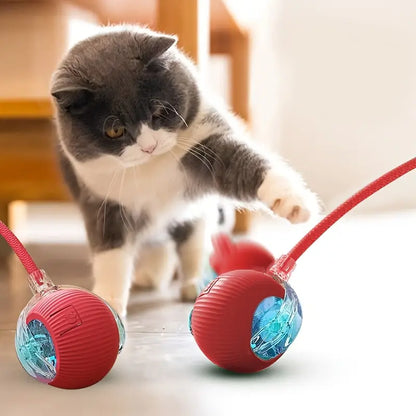 Interactive USB Rechargeable Cat Toy Ball with Colorful Lights - Automatic Fun for Indoor Kittens!