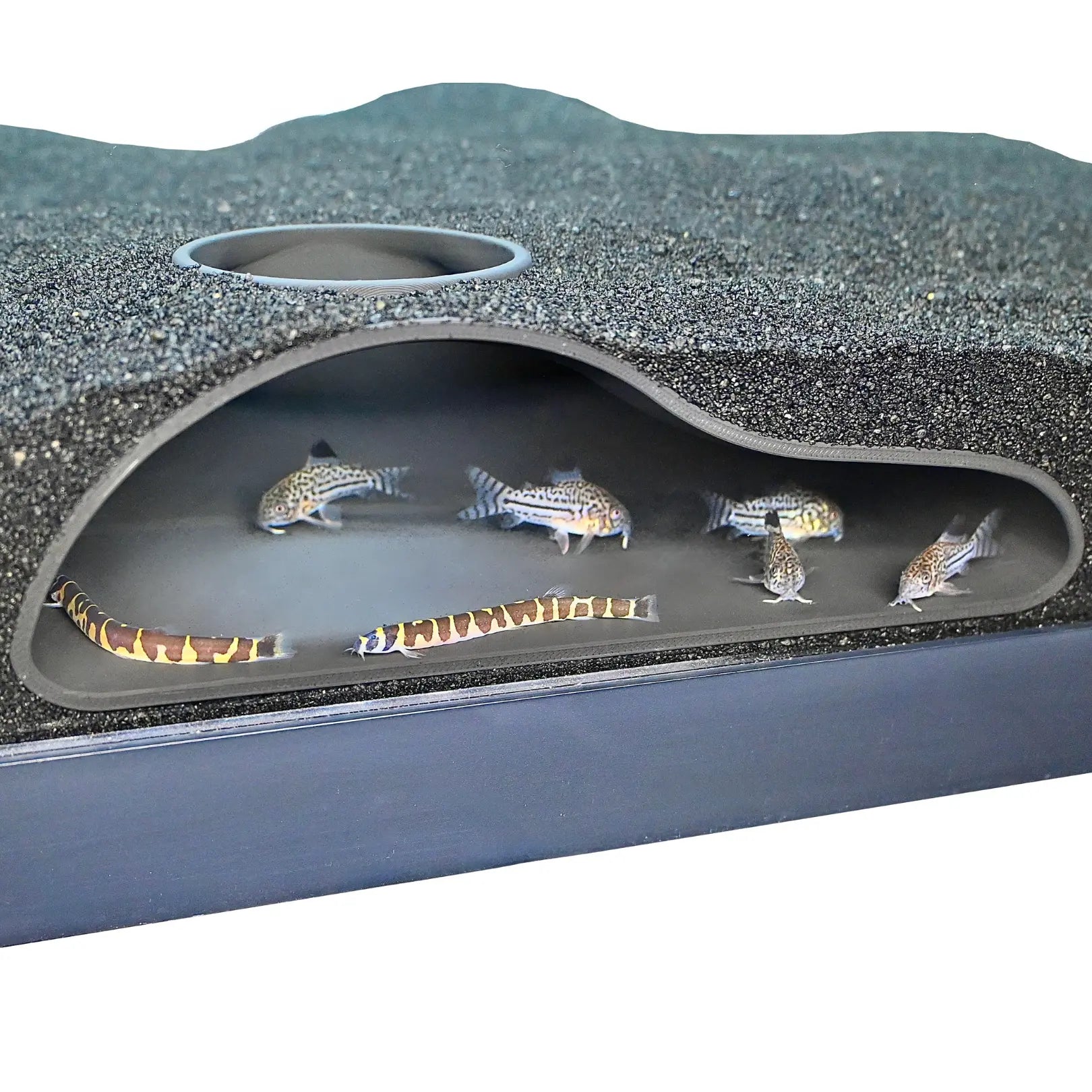 Natural Curve Aquarium Underground Tunnel Cave - Perfect Hideout for Fish & Shrimp, Ideal for Corydora Catfish, Kuhli Loach, Clown Loach, and Pleco