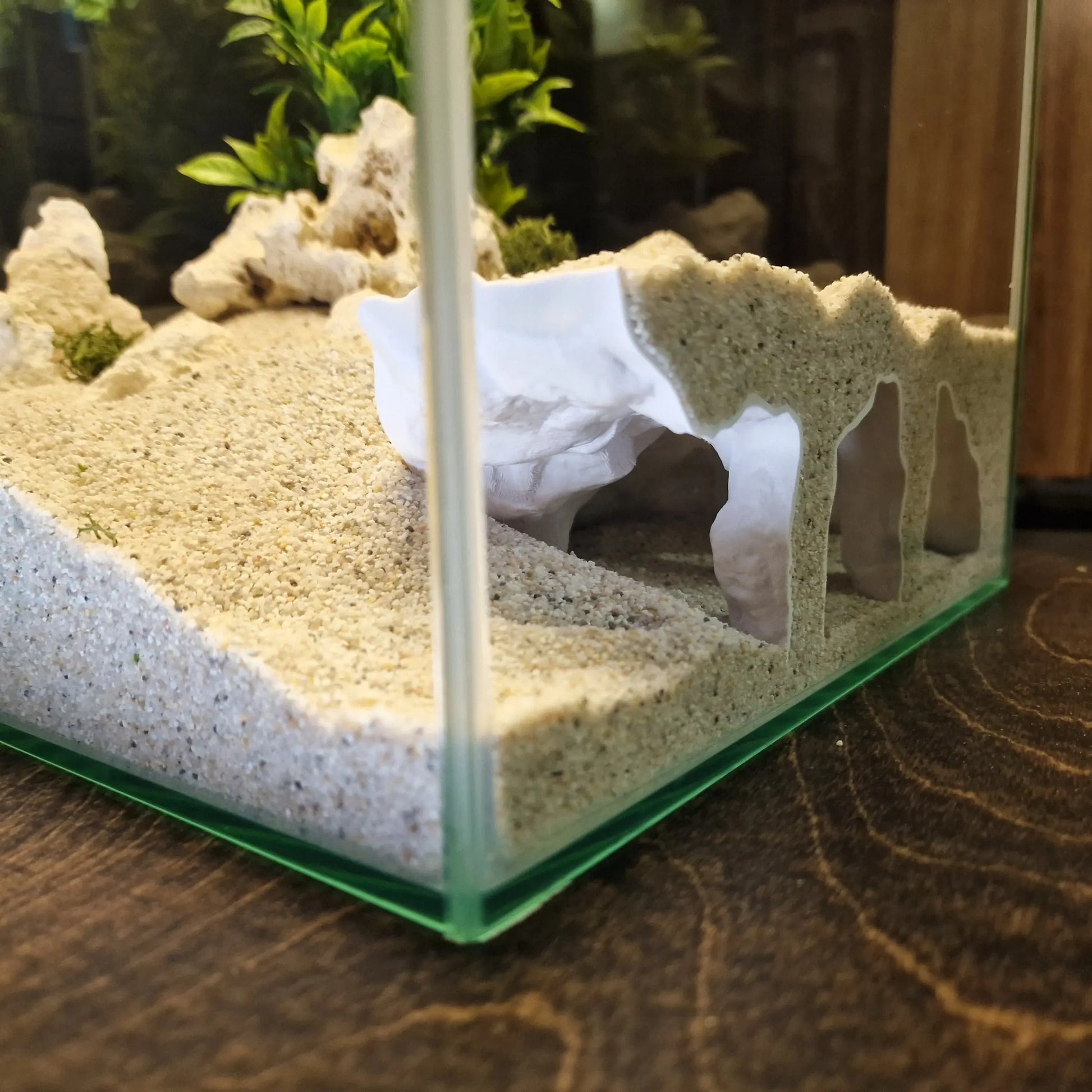 Realistic 3D Orbital Cave Aquarium & Reptile Shelter - Perfect Hiding Spot for Fish, Shrimp, Lizards, and Snakes - Ideal for Aquatic Landscaping and Office Decor