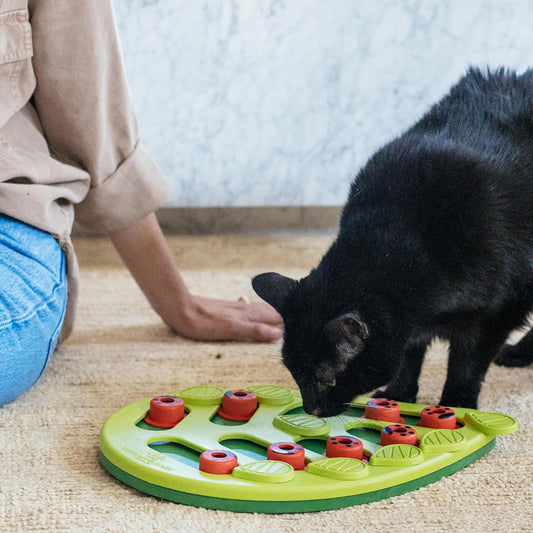 Turn Treat Time Into Brain Time — Interactive Cat Puzzle Toy with Adjustable Difficulty