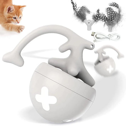 Interactive Fishbone Rolling Ball Cat Toy with Catnip - USB Rechargeable Kicker for Indoor Fun!
