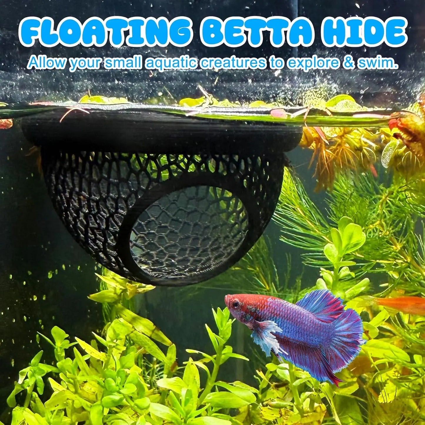 Floating Betta Hide & Shrimp Cave - Multi-Functional Hammock and Feeding Ring for Betta Fish, Shrimp & Small Aquatic Pets