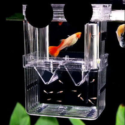 Double Layer Fish Hatching Incubator Box - Clear Plastic Isolation Breeding Box for Aquariums - Ideal for Home & Pet Shops - Essential Fish Tank Accessory