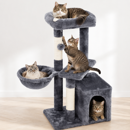 Save Furniture While Keeping Indoor Cats Happily Busy