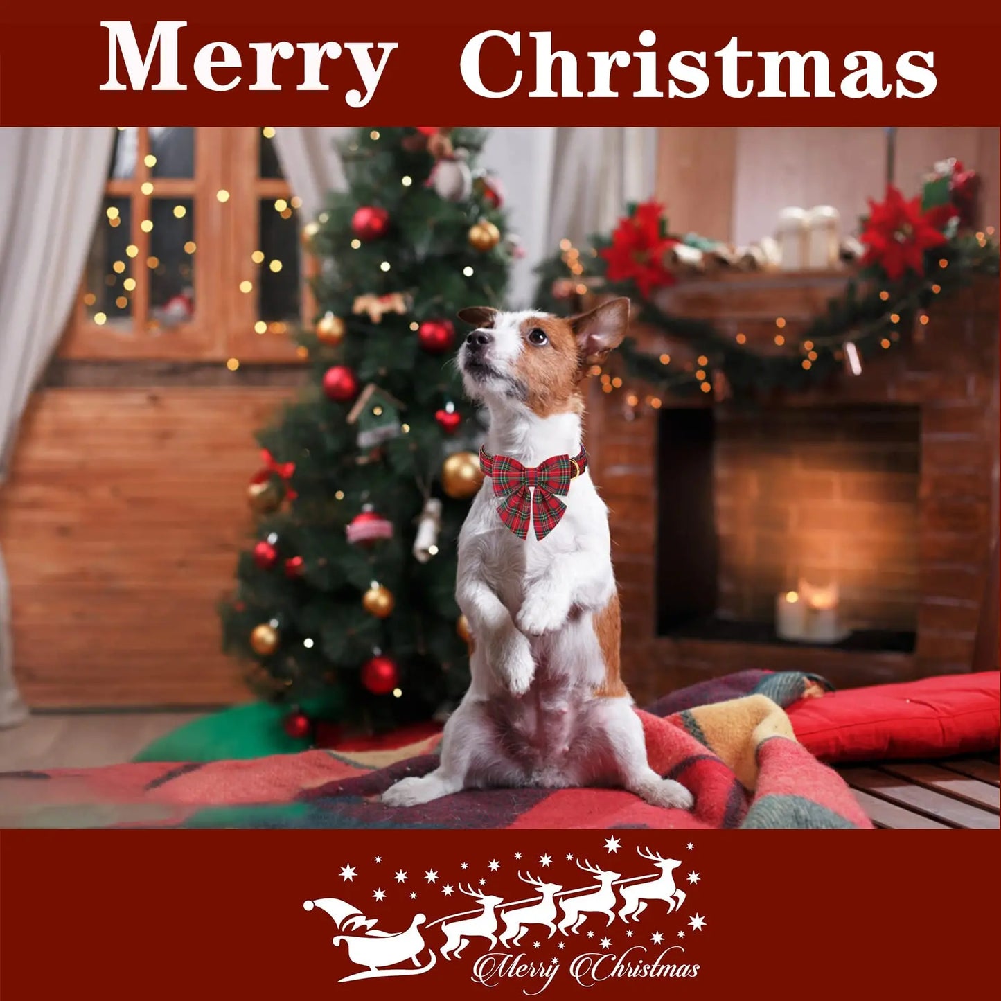Festive Plaid Dog Collar with Bow Tie - Adjustable Christmas Scottish Tartan for Small to Large Dogs, Perfect Holiday Gift!