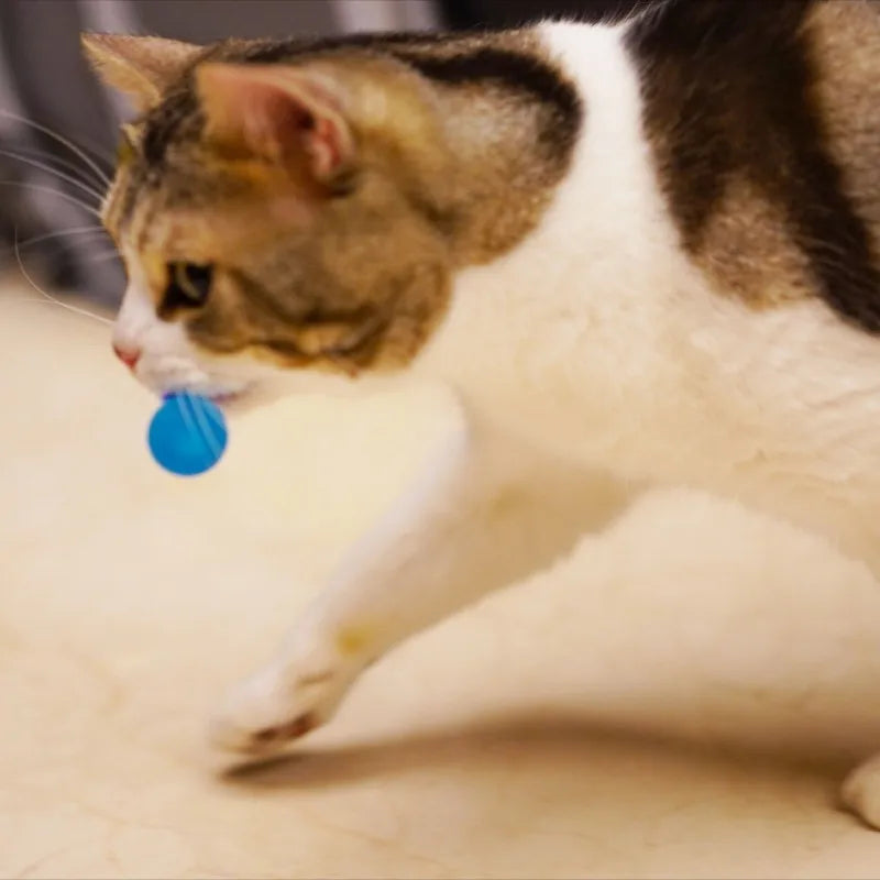 Exciting Cat Interactive Feather Toy - Colorful Bouncing Ball for Endless Indoor Fun!