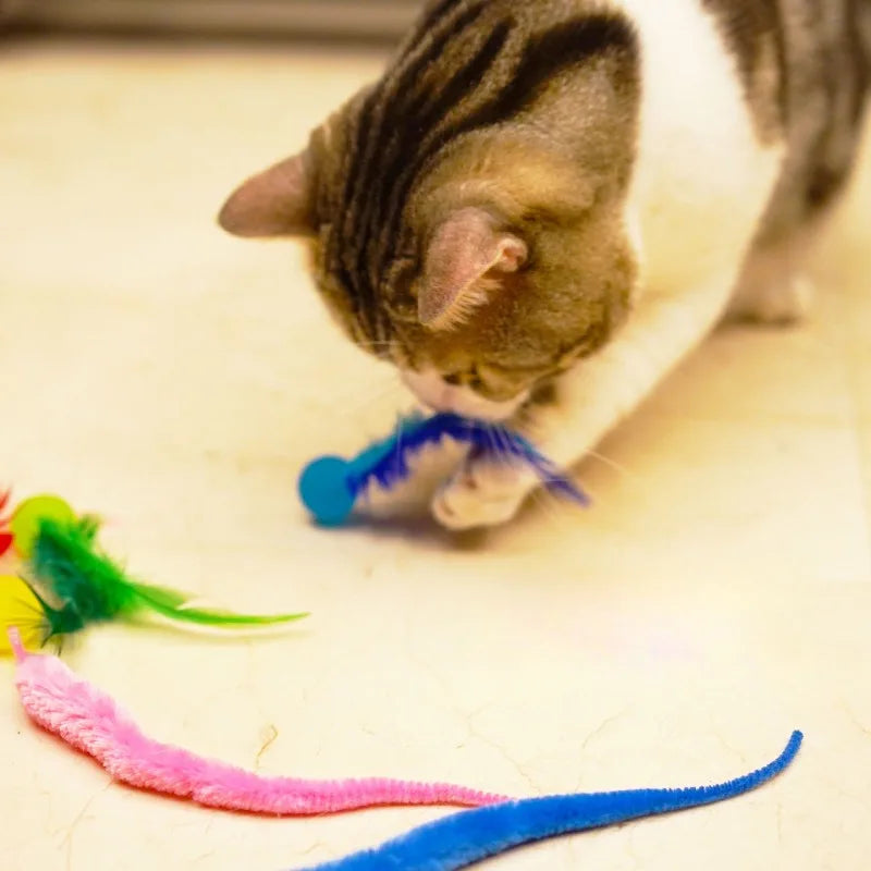 Exciting Cat Interactive Feather Toy - Colorful Bouncing Ball for Endless Indoor Fun!