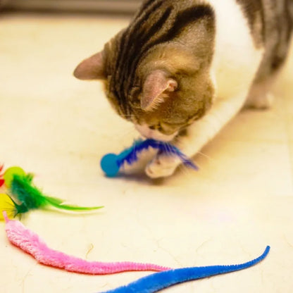 Exciting Cat Interactive Feather Toy - Colorful Bouncing Ball for Endless Indoor Fun!