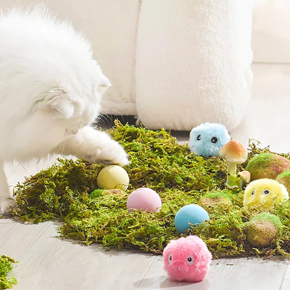 Engaging Cat Training Toy: Interactive Plush Squeaky Ball for Fun and Play!