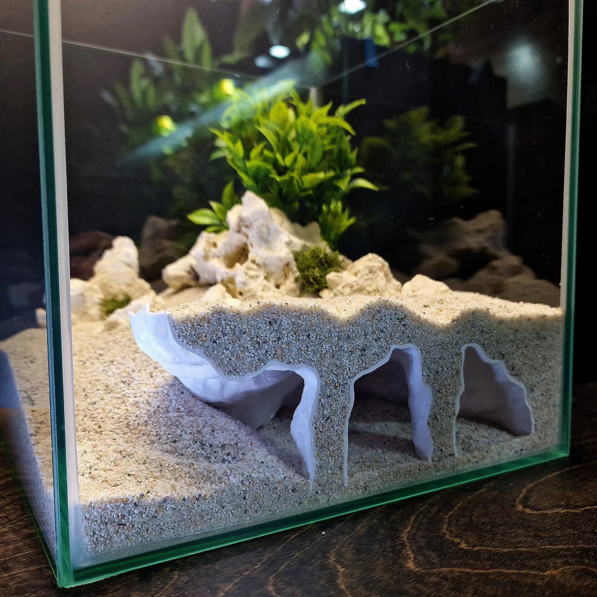 Realistic 3D Orbital Cave Aquarium & Reptile Shelter - Perfect Hiding Spot for Fish, Shrimp, Lizards, and Snakes - Ideal for Aquatic Landscaping and Office Decor