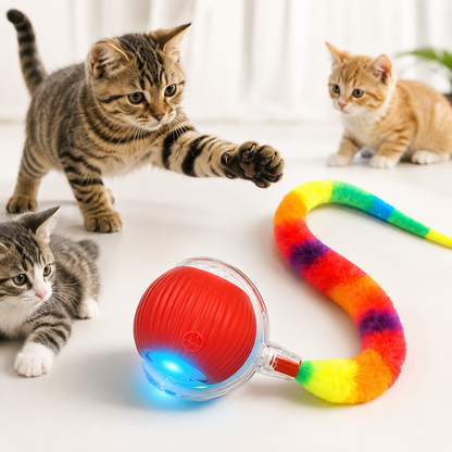 Beat Pet Boredom With Smart Rolling Fun