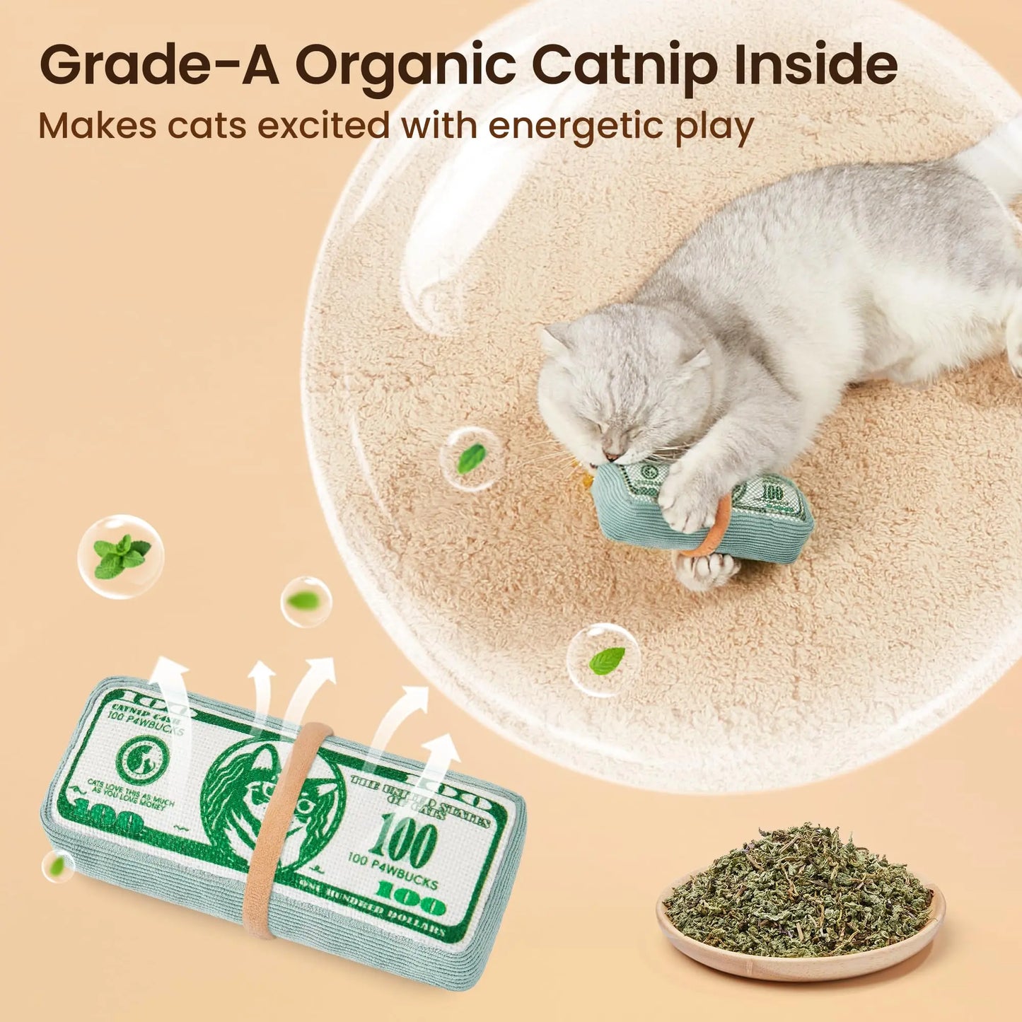  Catnip Dollar Toy - Interactive Kicker for Indoor Kittens, Teeth Cleaning Fun, 6 Inches of Playtime Bliss!