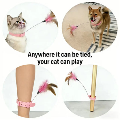 Feather Fun Indoor Cat Toy Set - Adjustable Collar, Teaser Wand & Kicker for Active Play and Training