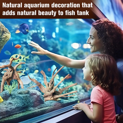Premium Natural Driftwood Set for Aquariums - 5 Large Pieces (6''-10'') Perfect for Fish Tanks, Reptile Habitats & Air Plant Displays
